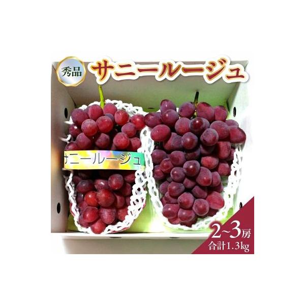 ぶどう(サニールージュ)1.3kg　0142-2603