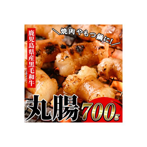 もつ鍋や焼肉に!鹿児島県産黒毛和牛ホルモン(丸腸)約700g