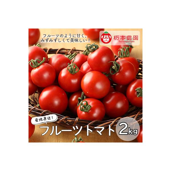 先行受付【期間限定】産地直送!杤本農園 フルーツトマト 2kg入り【45-6】