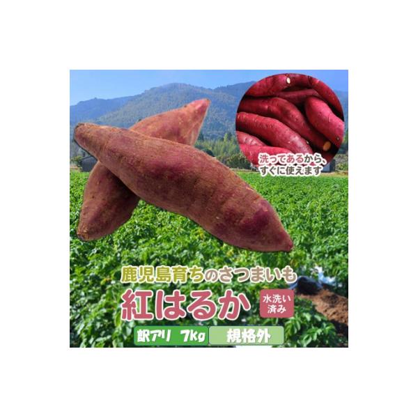 【訳あり】薩摩で育てたさつまいも(紅はるか)洗い 規格外 7kg ZS-923