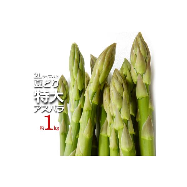 ■お礼品詳細　・容量：2Lサイズ以上・約1kg　・消費期限：発送日から5日程度　・アレルギー：特定原材料等28品目は使用しておりません　・配送：冷蔵　・協力事業者：長井中央青果　・提供元：長井市■お申し込み・配送・その他　・発送時期：202...