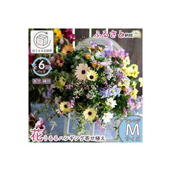 山口市 花うるるのハンギング定期便〜アレンジコース【全6回】の魅力
