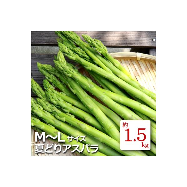 ■お礼品詳細　・容量：M〜Lサイズ・約1.5kg　・賞味期限：発送日から5日程度　・アレルギー：特定原材料等28品目は使用しておりません　・配送：冷蔵　・協力事業者：長井中央青果　・提供元：長井市■お申し込み・配送・その他　・発送時期：20...