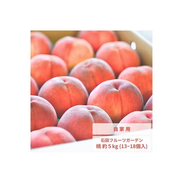 先行受付 桃 自家用 約5kg (11～18個入)  [2026年発送分] 【011P012】