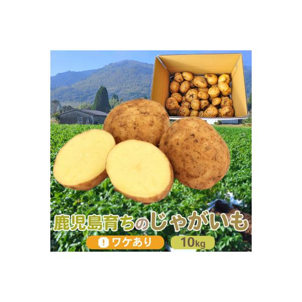 【訳あり】【数量限定】ママたちの想いをギュッ! ほくほくじゃがいも ニシユタカ ZS‐715