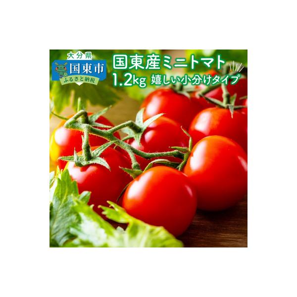 国東産ミニトマト1.2kg※嬉しい小分けタイプ_1053R
