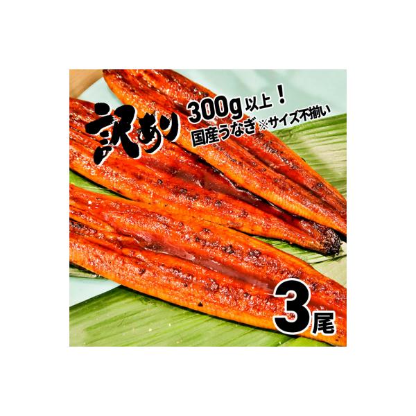 ふるさと納税 境町 〈2024年5月発送〉【訳あり】さかい河岸水産の国産うなぎ3尾 300g以上! ...