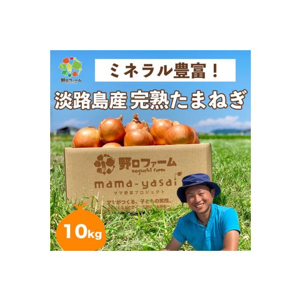 【野口ファーム】mama-yasai　完熟たまねぎ 10kg