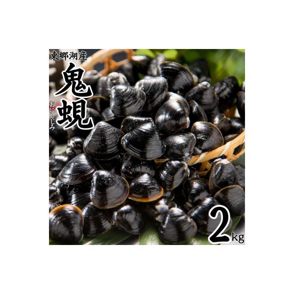 東郷湖産鬼蜆〔おにしじみ〕2kg(58M.)