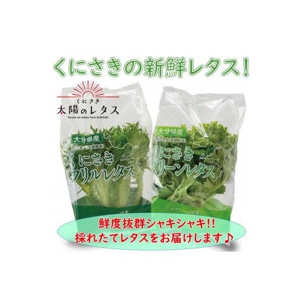 ■お礼品詳細　・容量：くにさき太陽のレタスの12袋詰合せ(グリーンレタス6袋、フリルレタス6袋)　・消費期限：出荷日から冷蔵で10日間　・配送方法：冷蔵　・事業者：株式会社 エコファーム国東　・提供元：国東市■お申し込み・配送・その他　・発...