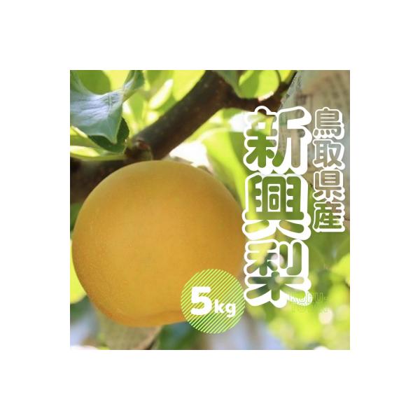 ■お礼品詳細　・内容量：5キロ　・賞味期限：常温7日前後　・配送方法：通常　・提供元：江府町■お申し込み・配送・その他　・発送時期：10月上旬〜10月中旬頃発送　・申込受付期間：9月24日まで　・配達外のエリア：離島、沖縄県　・寄付証明書の...