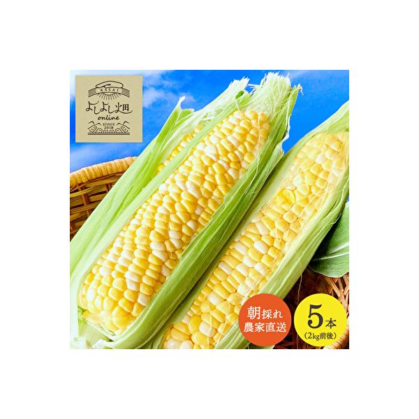 ■お礼品詳細　・配送不可地域：北海道，沖縄県，離島　・配送方法：冷蔵配送　・賞味期限：発送日含め3日　・事業者名：よしよし畑株式会社　・提供元：加西市■お申し込み・配送・その他　・発送時期：2026年6月下旬〜2026年7月上旬　・申込受付...