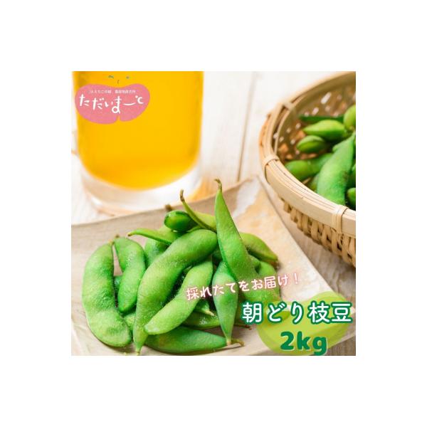 先行受付 採れたてをお届け!朝どり枝豆 2kg (1kg×2袋) 令和8年度 【010S119】