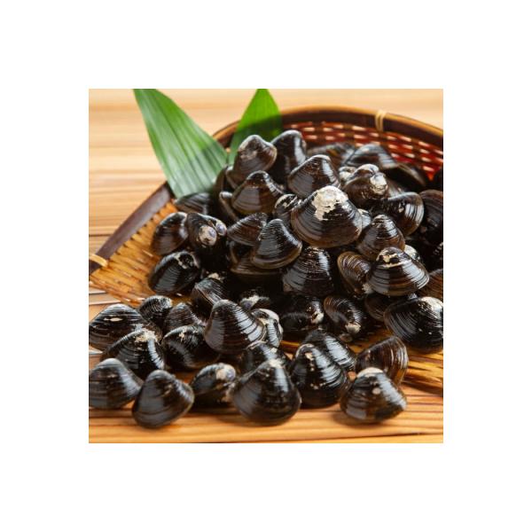 冷凍砂出ししじみ　5袋セット
