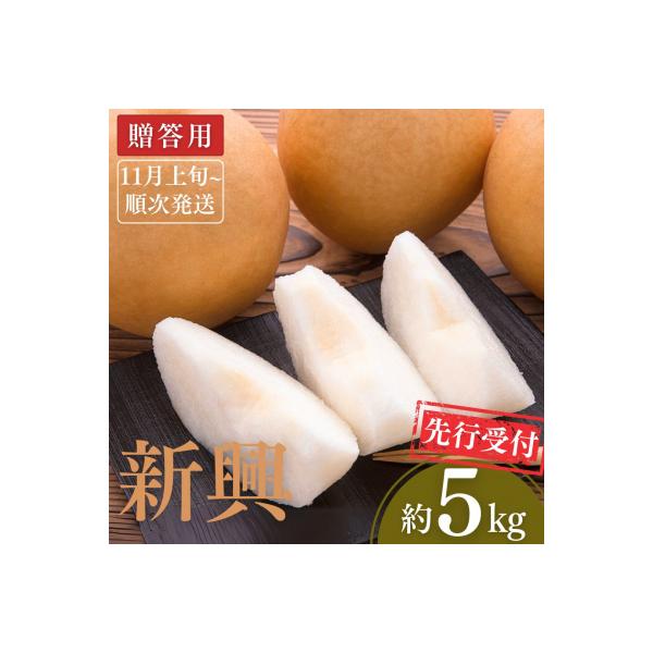 先行受付 和梨 新興 約5kg [2026年発送] 新潟県三条市産梨 [小林農園]【012P047】