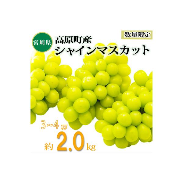 久保ぶどう園の高原町産シャインマスカット(約2kg)[宮崎県産 3～4房 湧水育ち]　TF394