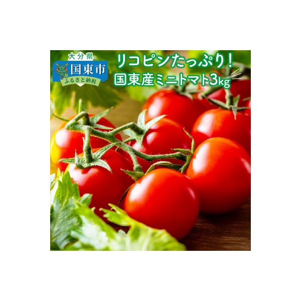 ■お礼品詳細　・容量：国東産ミニトマト「好きっちゃとまと」3kg　※月・水・金に発送します。　・消費期限：お問合せ先:国東市役所活力創生課(0978-72-5175)　・配送方法：冷蔵　・事業者：株式会社 九設ふる里めぐみファーム 国東支店...