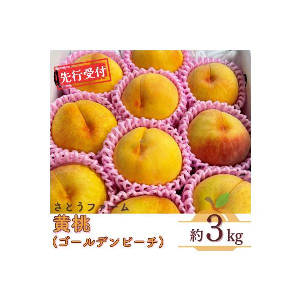■お礼品詳細　・事業者：さとうファーム　・地場産品基準：1 三条市内で生産されているため。　・提供元：三条市■お申し込み・配送・その他　・発送時期：9月中旬〜下旬頃※天候や生育状況により、発送開始・終了時期が前後する場合がございます。※お申...