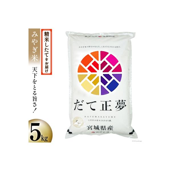 米 宮城県産 だて正夢 5kg [20564852]