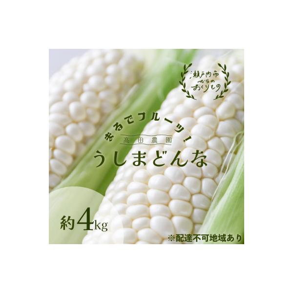 生で甘い、茹でて美味い!牛窓産 白色とうもろこし「うしまどんな」約4kg[No.5735-1233]