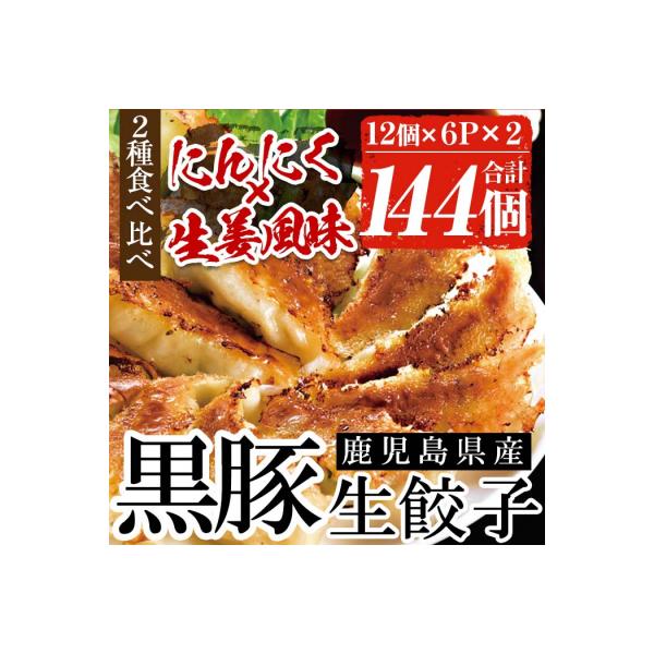 鹿児島黒豚生餃子2種(黒豚生餃子・生姜風味)食べ比べセット 計144個 タレ付き!国産野菜使用!