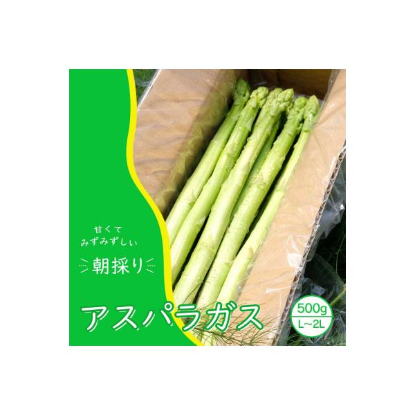 ■お礼品詳細　・容量：アスパラガス　500g（L、2Lサイズ混）　・賞味期限：配送日+3日　・配送方法：冷蔵　・提供事業者：永利農園株式会社　・提供元：小郡市■お申し込み・配送・その他　・発送時期：2026年4月1日(〜2026年10月31...