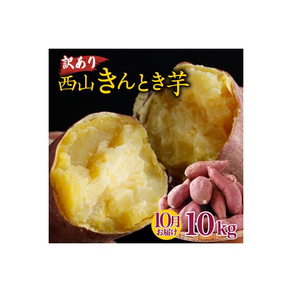 【10月お届け】【訳あり】西山きんとき芋(さつまいも)　10kg　新芋