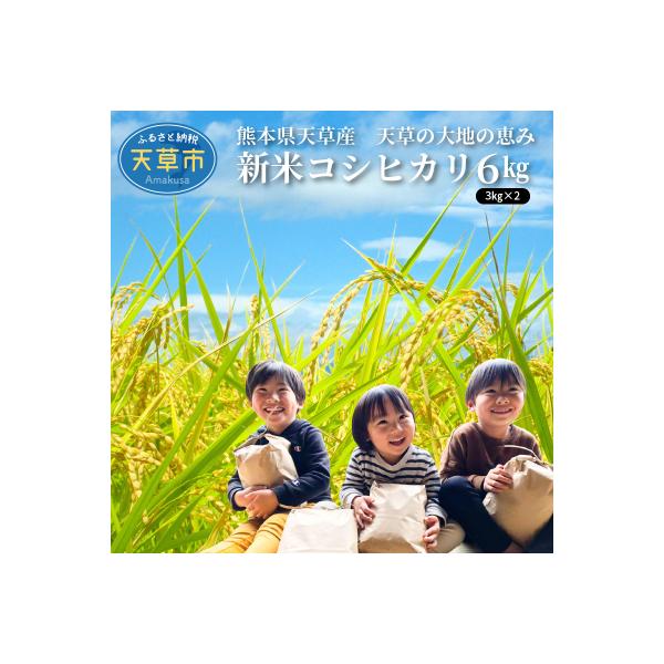 〈令和8年産〉熊本県天草産　天草の大地の恵み　新米コシヒカリ6kg【先行受付】_S108-003A