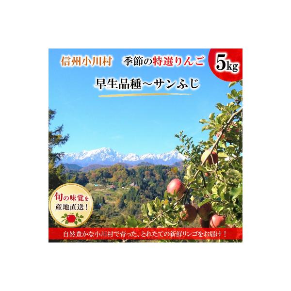 信州小川村成就地区限定季節の特選りんご5キロ(早生品種りんご～サンふじりんご)*311