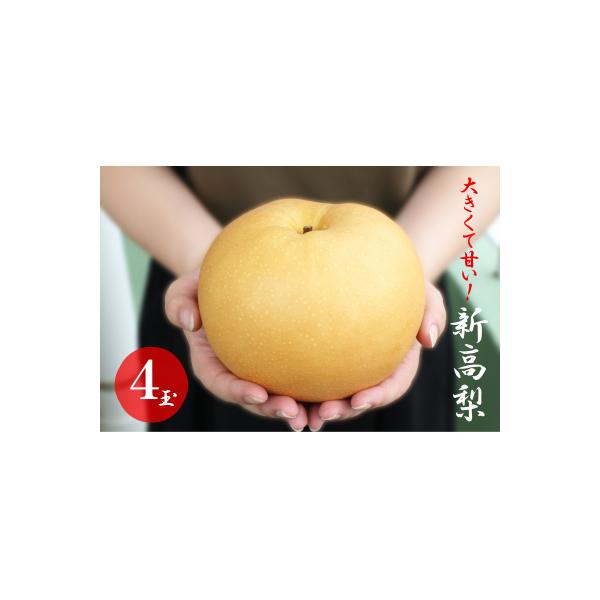 大きくて甘い　越知町の新高梨【約700g　4玉】フルーツ 果物 新鮮 産直