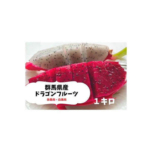 <2026年7月下旬より順次発送> ドラゴンフルーツ (1kg)  F20E-514