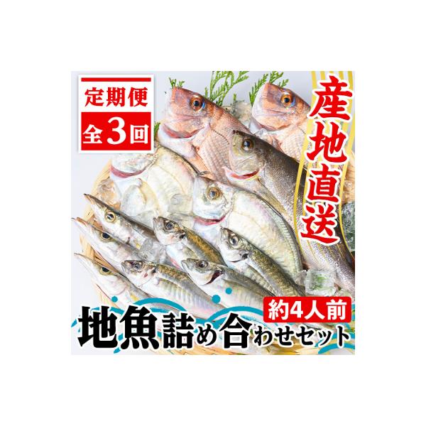 【3回定期便】魚屋さんの選んだ新鮮お魚詰め合わせ(約4人分)　C09002