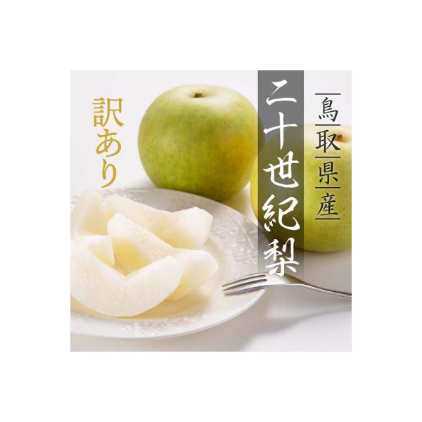 【訳あり】二十世紀梨 4kg