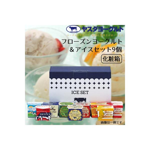 ヤスダヨーグルト フローズンヨーグルト&アイスセット9個