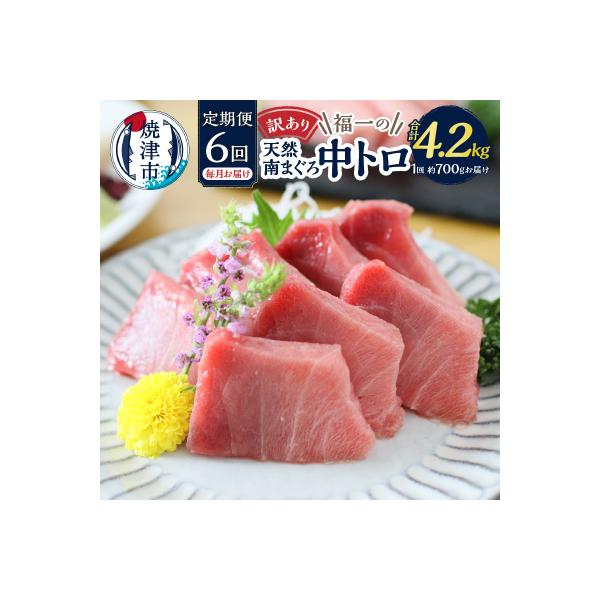訳あり【定期便 6回】南鮪・刺身・中トロ(約700g)(b108-001)