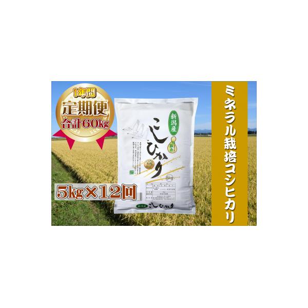【令和7年産】【12回定期便】ミネラル栽培こしひかり 5kg