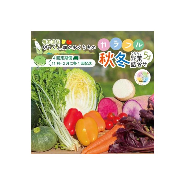■お礼品詳細　・配送方法：冷蔵便　・アレルギー：大豆 　収穫時期によっては枝豆が含まれる場合がございます。　・事業者：ぱっくん畑　・提供元：四万十市■お申し込み・配送・その他　・発送時期：2026年11月〜2027年2月に毎月1回、全4回発...