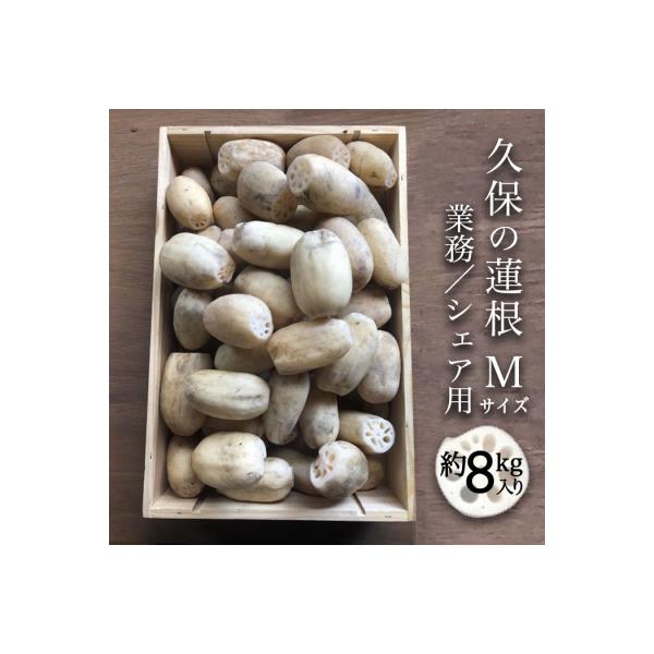 ■お礼品詳細　・内容量：直径が約4〜7cm、約150g〜350gのレンコン30〜40個前後　・提供数量：月10個（組）まで　・消費期限：出荷日から4日以内　・配送方法：冷蔵　・提供事業者：久保ファーム　・提供元：徳島市■お申し込み・配送・そ...