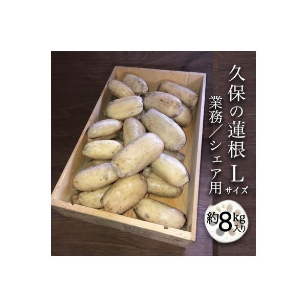 ■お礼品詳細　・内容量：直径が約5〜8cm、約250g〜400gのレンコン25〜35個前後　・提供数量：月10個（組）まで　・消費期限：出荷日から4日以内　・配送方法：冷蔵　・提供事業者：久保ファーム　・提供元：徳島市■お申し込み・配送・そ...