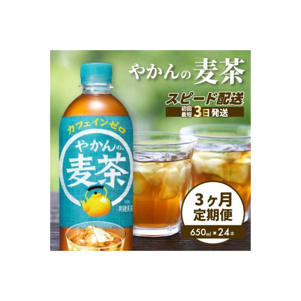 【3か月定期便】やかんの麦茶 from 爽健美茶 PET 650ml×24本 [014-007]