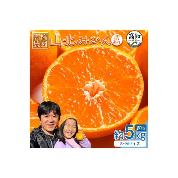 山北みかん5kg 家庭用 小玉 5キロ 糖度 甘い 人気 訳あり 果物 フルーツ th-0030