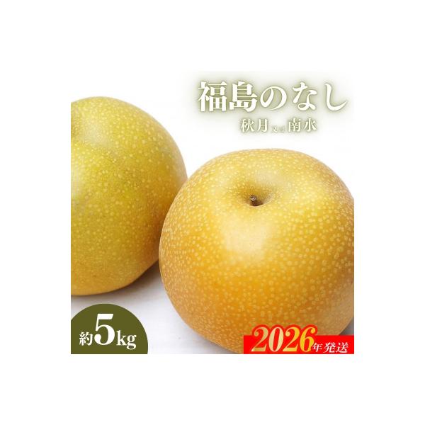 ■お礼品詳細　・事業者：株式会社幸青果　・内容量：約５ｋｇ　・賞味期限：出荷日＋５日　・配送方法：常温便　・提供元：福島市■お申し込み・配送・その他　・発送時期：2026年9月下旬から2026年10月下旬発送予定　・申込受付期間：2026年...