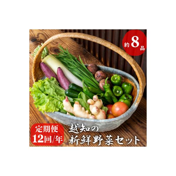 越知産市の季節の野菜セット(年12回発送)　産地直送　旬野菜
