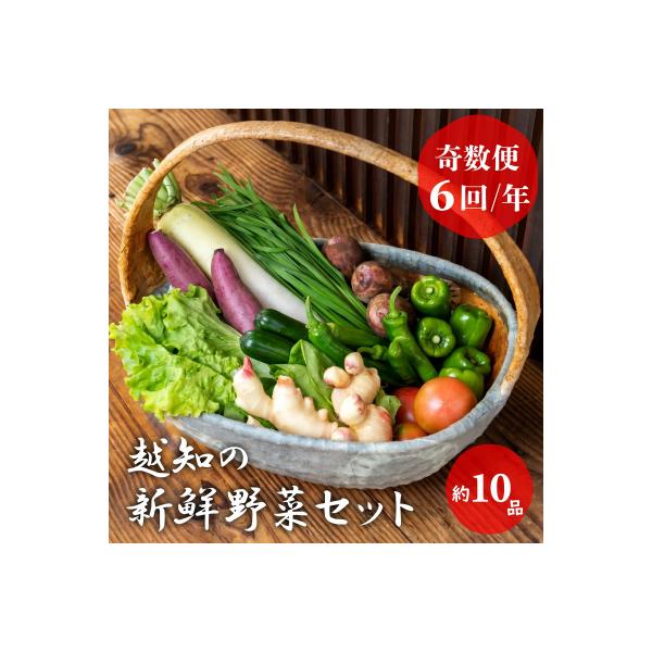 越知産市の季節の野菜セット(年6回発送) 奇数月　産地直送　旬野菜
