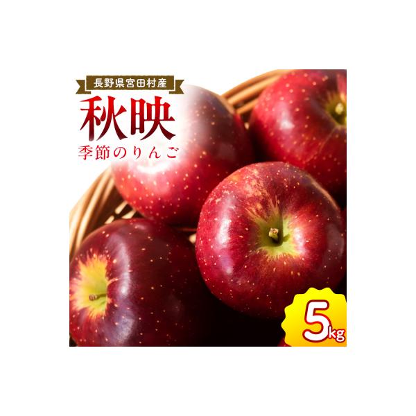【先行受付】季節のりんご『秋映』(5kg)