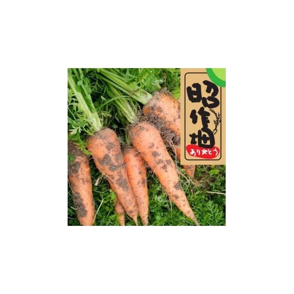 ■お礼品詳細　・内容量：土付きにんじん2kg※鮮度を良くするため、土付きのままお送りします。　・賞味期限：出荷日より7日程度※生鮮物ですので期限は目安となります。　・保存方法：届き次第開封して直射日光を避け暗くて涼しい風通しの良い場所で保存...