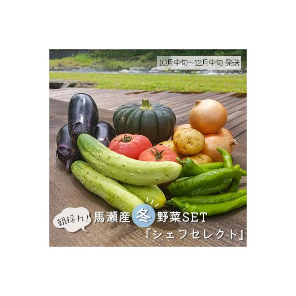 ■お礼品詳細　・内容量：8品〜10品程度の野菜を100サイズの箱に詰合せます。　・消費期限：発送日から7日以内になるべく早くお召し上がり下さい。　・保存方法：冷暗所や冷蔵庫などで保管してください。　・申込期限：11月15日までにご入金確認（...