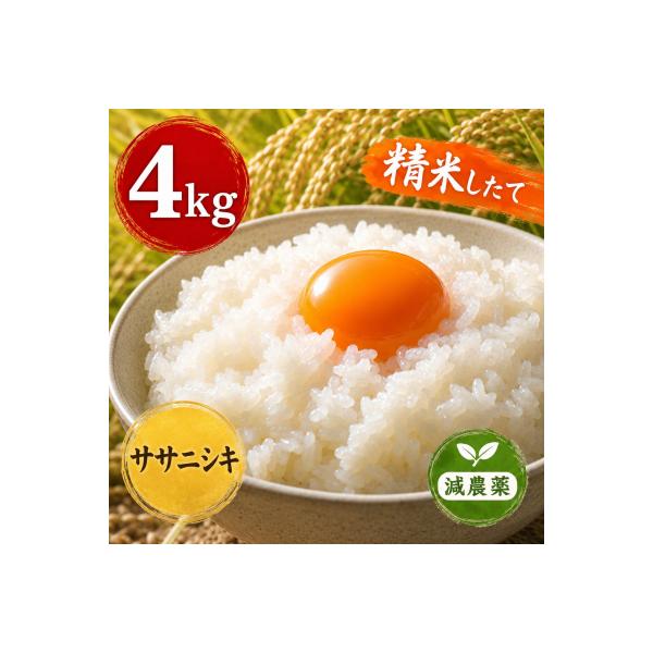 令和8年産 ヨシ腐葉土米 ササニシキ 精米4kg