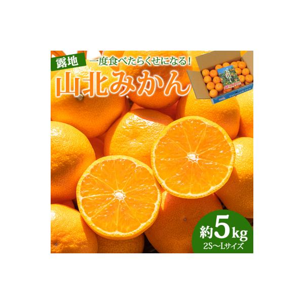 【令和8年10月下旬発送開始】高知県産 山北みかん5kg ku-0053