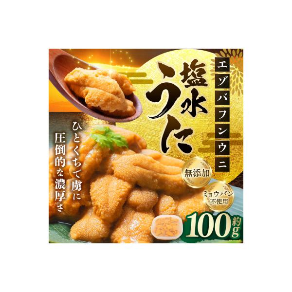【6月中旬(予定)～9月発送不可】【特選】 塩水ウニ100g(エゾバフンウニ) うに 雲丹
